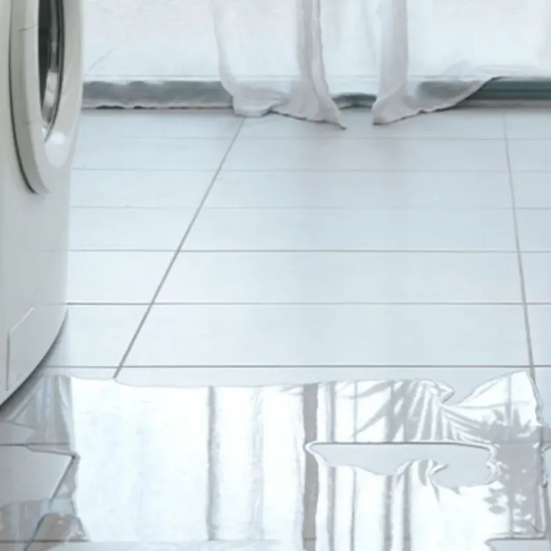 Appliance Leak Cleanup in Burt County, NE