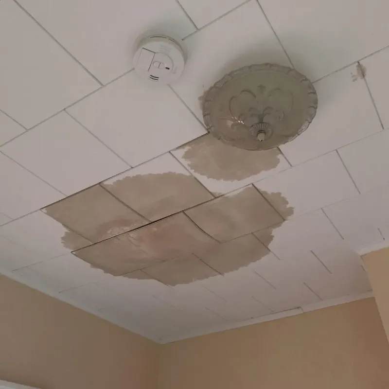 Ceiling Water Damage Repair in Burt County, NE