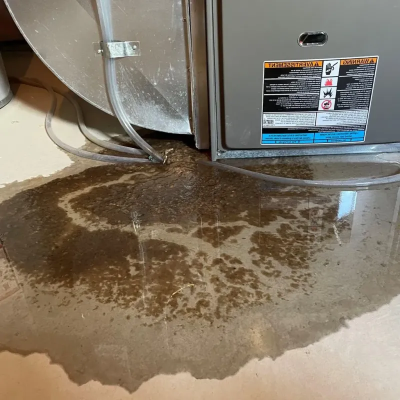 Pipe Burst and Leak Restoration in Burt County, NE