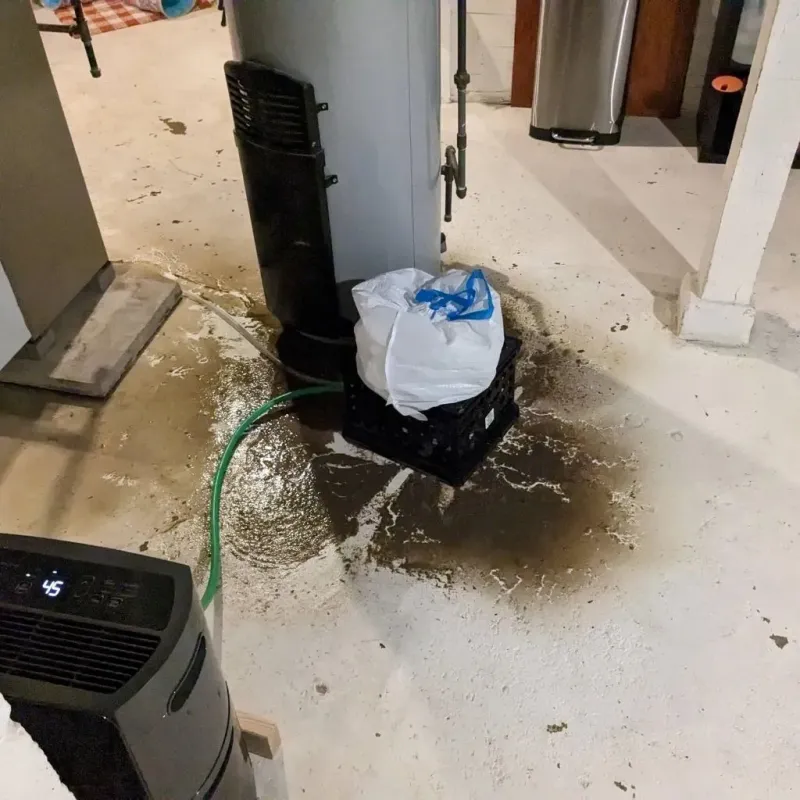 Sewage Backup Cleanup Service in Burt County, NE